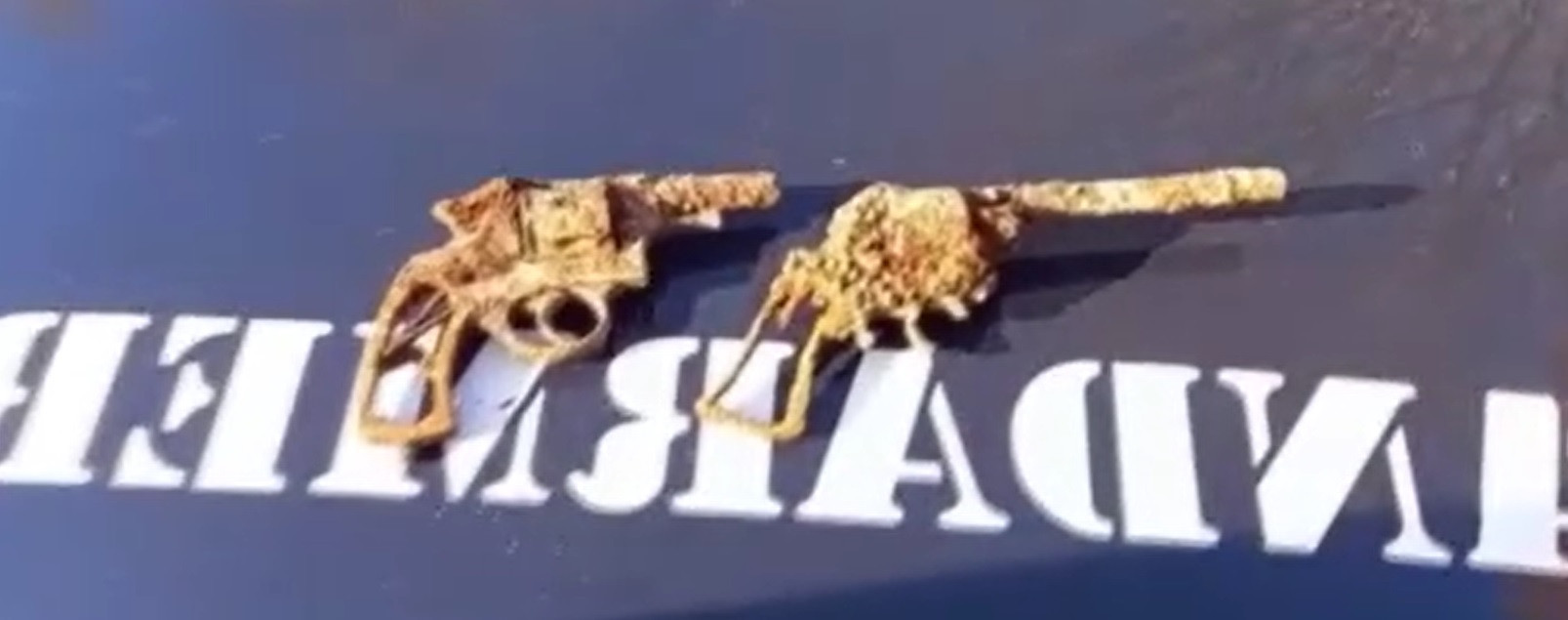 Două revolvere, descoperite de un jandarm din Bacău în timp ce lucra în grădina casei