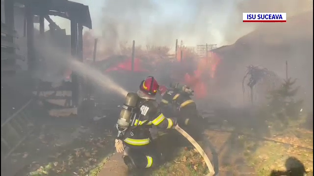 Sute de prepelițe au murit arse într-un incendiu din Suceava