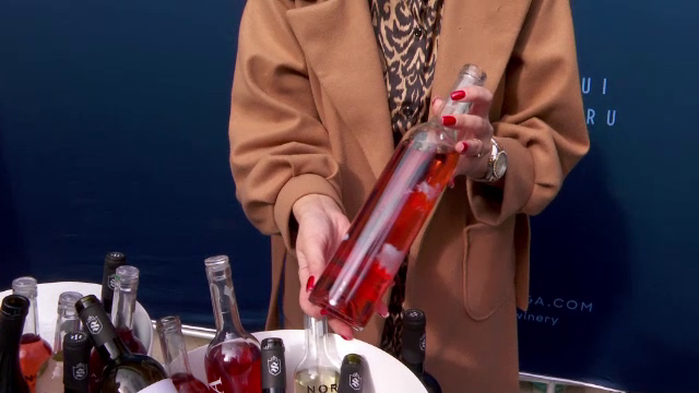 Producătorii de vin din județul Iași s-au adunat la „MoldoVia”. Trâgul de vinuri, la a treia ediție