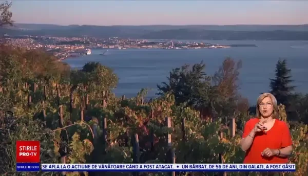 Celebrul vin Prosecco, în centrul unui scandal între viticultorii italieni, cei sloveni şi cei croaţi