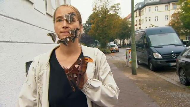 O femeie din Berlin își scoate în fiecare zi la plimbare fluturii. Insectele stau fără probleme la ședințe foto cu trecătorii