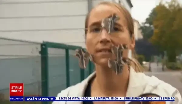 O femeie din Berlin își scoate în fiecare zi la plimbare fluturii. Insectele stau fără probleme la ședințe foto cu trecătorii