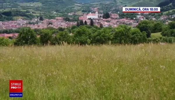„România, te iubesc!”. Povestea românului care ajută sătenii din județul Sibiu să-și repare colibele