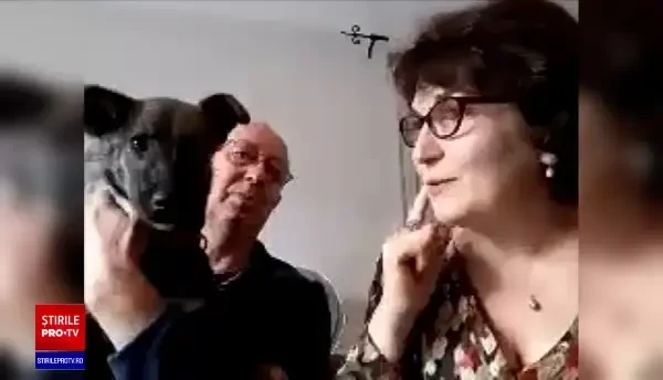 Străinii adoptă tot mai multe animale de companie din România: Este Calu din Pistruiatul. E o iubăreață și o deșteaptă