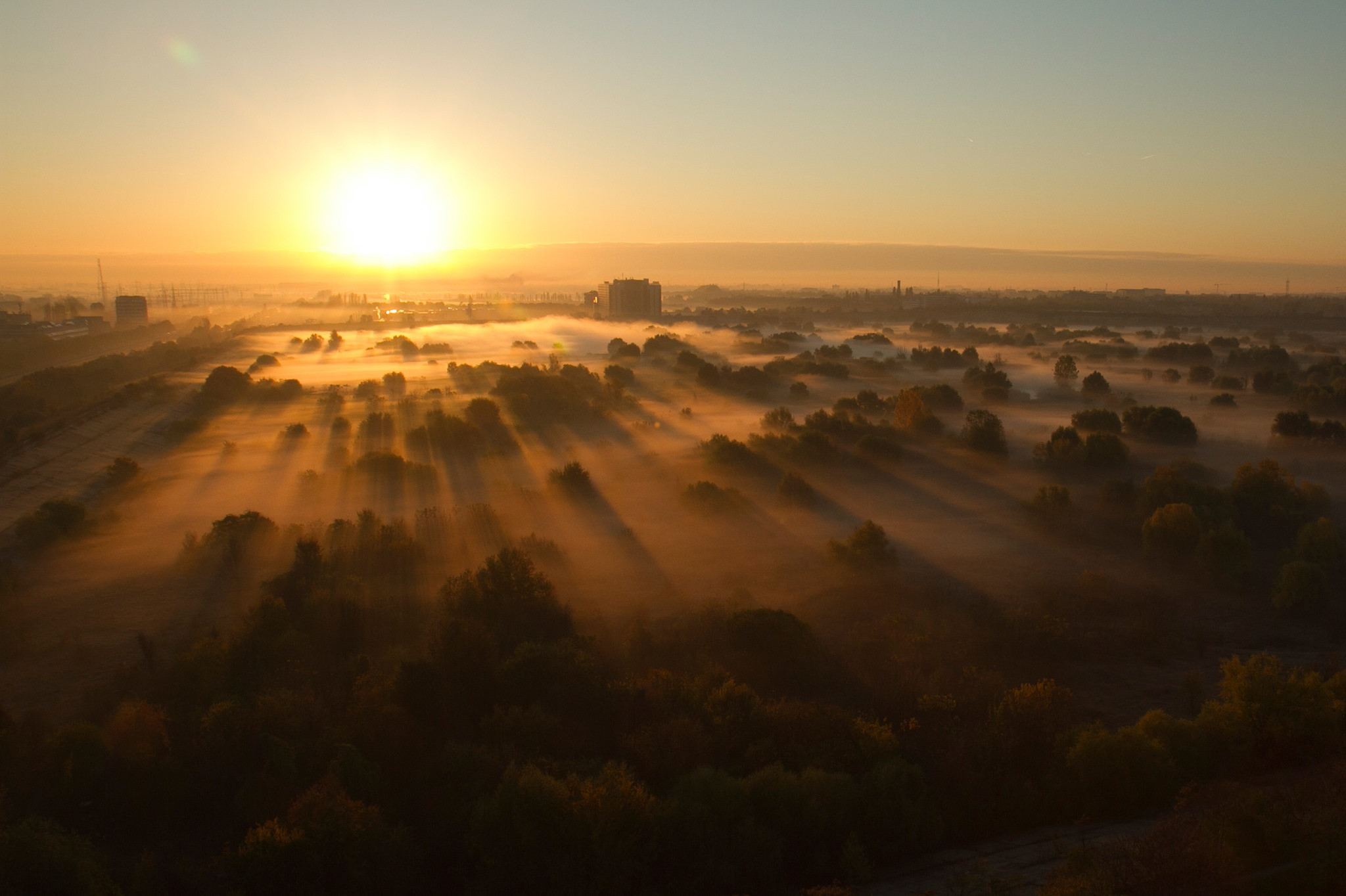 Câteva fotografii din Delta Văcărești au devenit virale
