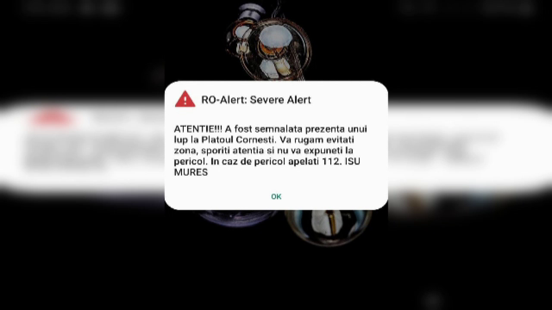 Mesaj RoAlert privind prezența unui lup în Târgu Mureș. Animalul ar fi, de fapt, un câine