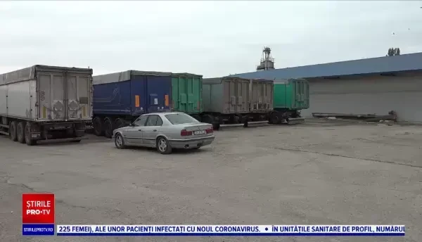 Patru camioane încărcate cu soia modificată genetic au dispărut din Bihor. Sunt adevarate bombe ecologice