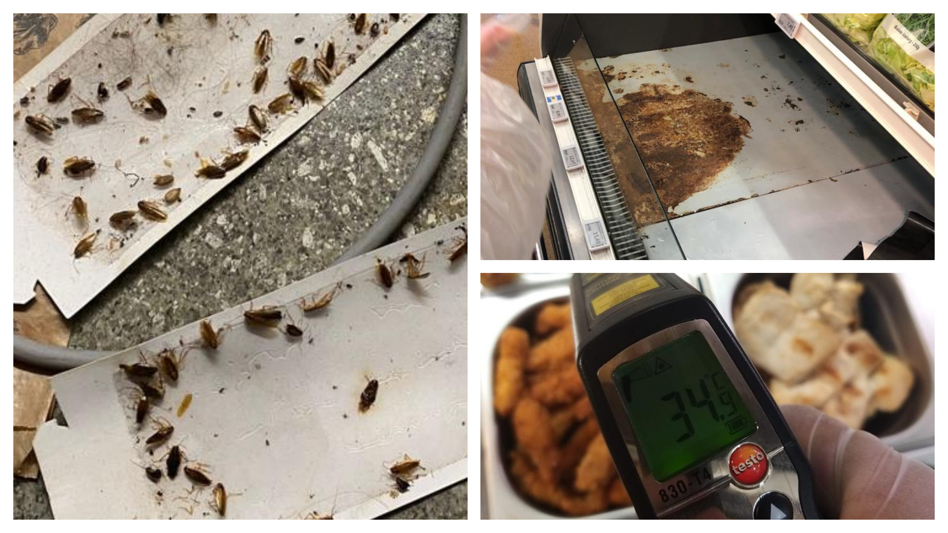 ANPC a propus închiderea pe o perioadă de cel mult şase luni a patru magazine Mega Image din Bucureşti