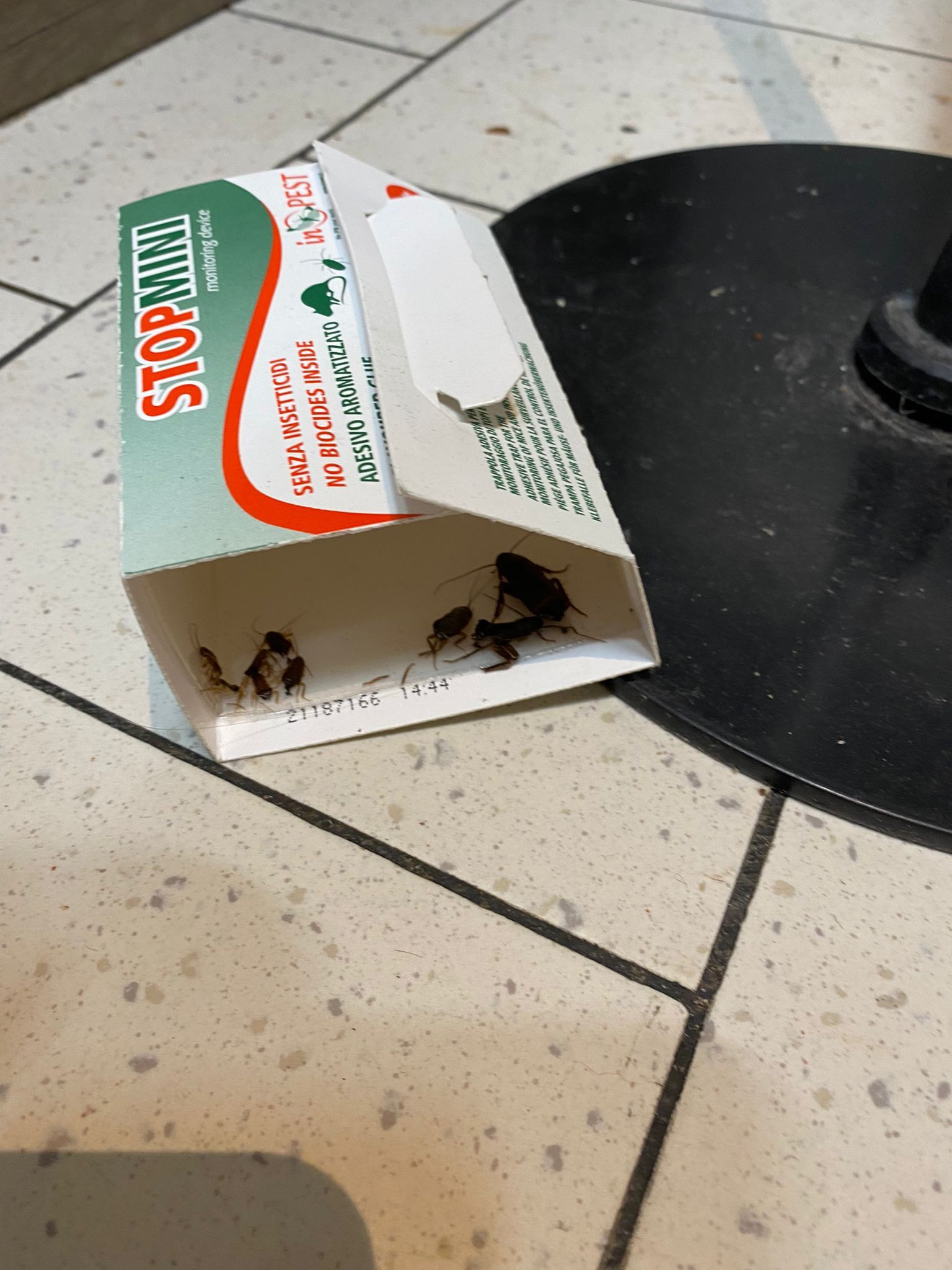 ANPC a închis temporar raioane ale supermarketurilor Lidl, Profi şi Carrefour din Ploieşti. FOTO