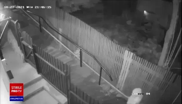 Imagini incredibile în Sinaia. Femeie încălțată cu tocuri, cu ursul pe urme, în fața pensiunii