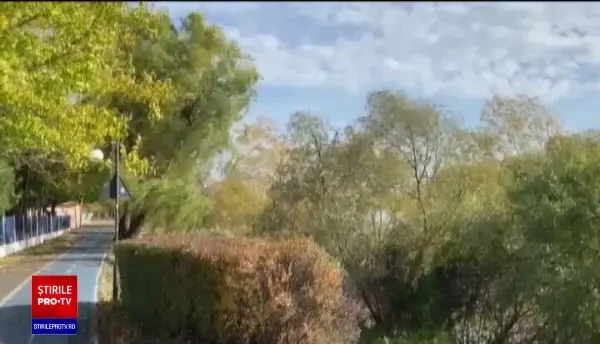 Alertă în vestul țării. Vântul puternic face prăpăd în mai multe județe