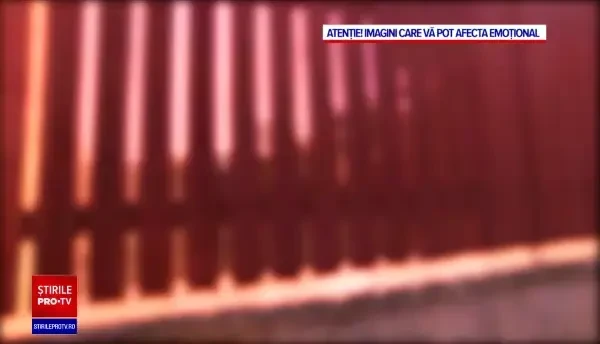 Un copil de trei ani a murit după ce a fost mușcat de cap de câinele familiei, în Mangalia