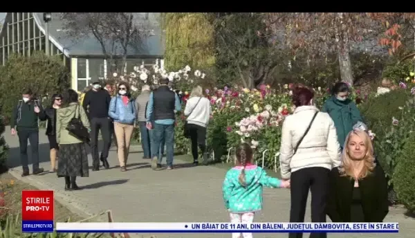 Cei mai iuți ardei din lume, expuși la Grădina Botanică din Iași. Un kilogram costă și 25.000 de dolari