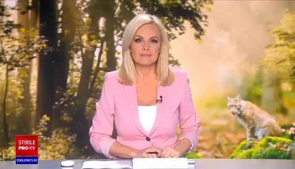 Imagini incredibile surprinse în județul Suceava. Un pui de râs s-a plimbat nestingherit prin curtea unei familii