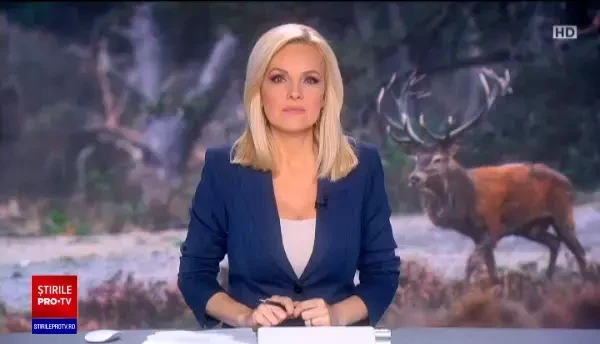 Un cerb, filmat în timp ce făcea o baie de nămol, într-o pădure din Parcul Național Piatra Craiului