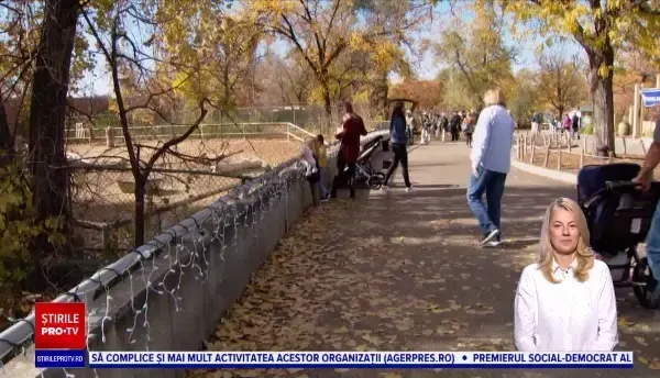 SUA: Vaccinare anti-Covid pentru copiii cu vârsta între 5 și 11 ani la Zoo