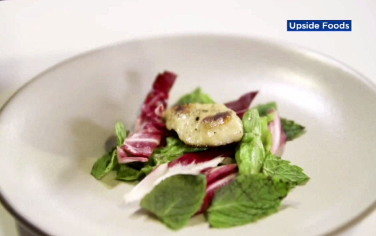 Carnea „crescută” în laborator, produsă de o companie americană. Cotlet de porc și rasol de vită, la recipient