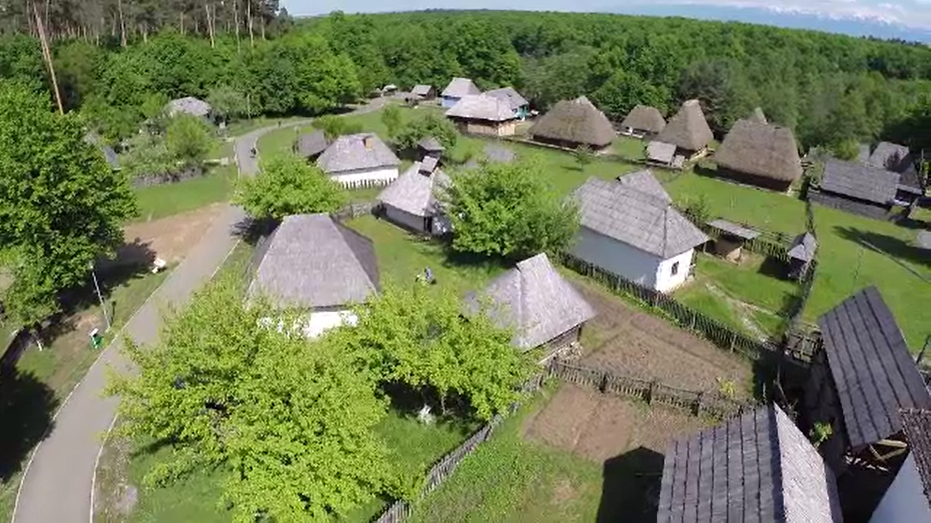 Trei muzee din România au primit cea mai înaltă disticție Michelin, trei stele