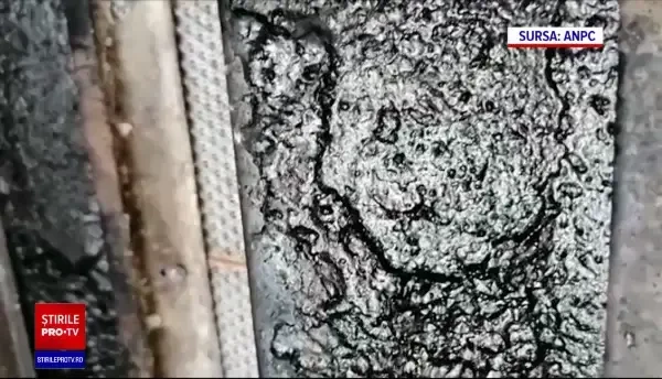 Nereguli descoperite de Protecția Cosumatorilor la Kaufland Timișoara. Au fost oprite temporar anumite servicii