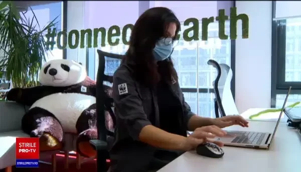 Afacerile sustenabile au început să apară și la noi. Magazinul unde vii cu borcanul tău ca să iei alimente vrac