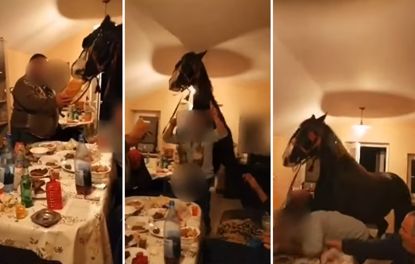 VIDEO. Petrecere cu calul în casă. Ce a pățit un bărbat care a încercat să danseze cu animalul
