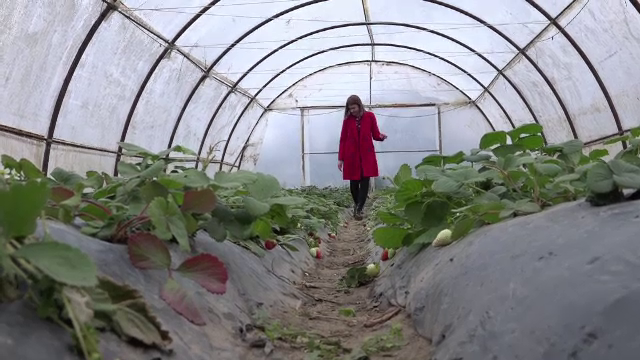 Un nou program pentru tinerii care nu sunt nici angajați, nici la școală. Cât ajung să primească de la Uniunea Europeană