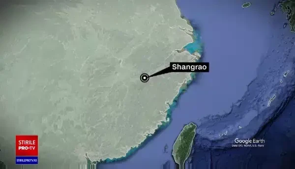 O echipă sanitară din China a ucis un câine cu ranga, în timp ce stăpânii lui erau în carantină. VIDEO