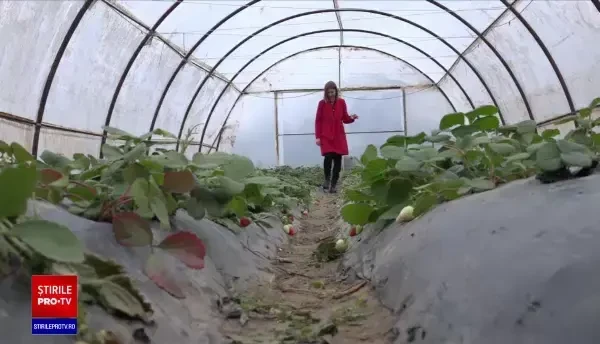 Un nou program pentru tinerii care nu sunt nici angajați, nici la școală. Cât ajung să primească de la Uniunea Europeană