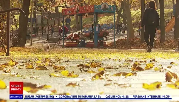 Horoscop 17 noiembrie 2021, cu Neti Sandu. Balanțele vor primi o mărire de salariu