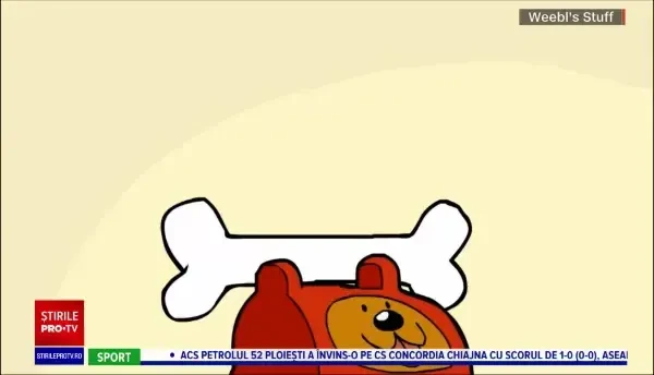 A fost inventat telefonul pentru căței. O cercetătoare l-a experimentat cu patrupedul ei timp de 16 zile