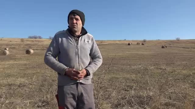 Doi frați au făcut accident cu mașina, în Vaslui. Unul a murit, celălalt a zăcut o noapte întreagă pe câmp