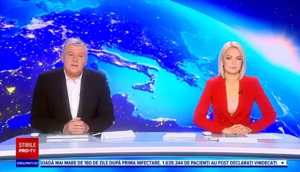 Specialiștii avertizează: Urșii koala ar putea dispărea din mai multe zone ale Australiei