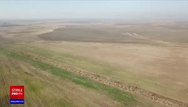 În premieră, fermierii români ar putea primi subvenții la fel ca în țările vestice. Ce condiții se impun