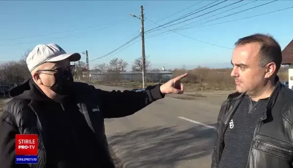 Numărul animalelor sălbatice omorâte în accidente rutiere pe șoselele din România este în creștere