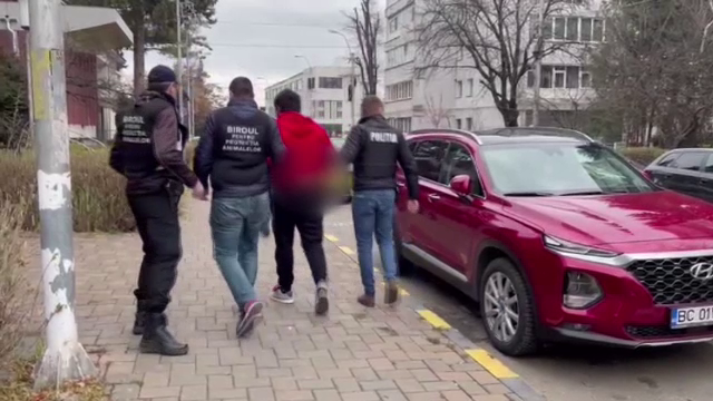 Un bărbat din județul Bacău a ucis câinele unei vecine pentru a se răzbuna. Ce pedeapsă riscă