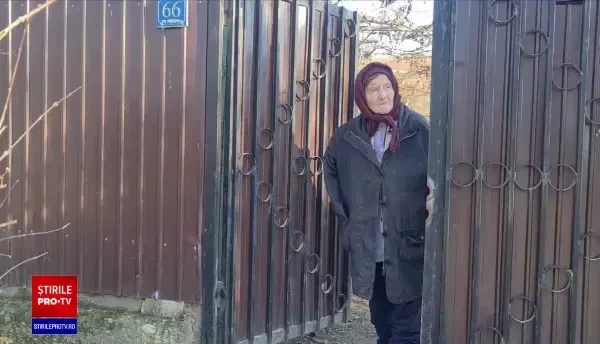 Un bărbat din județul Bacău a ucis câinele unei vecine pentru a se răzbuna. Ce pedeapsă riscă