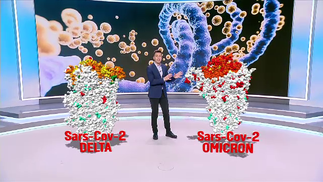 Diferențele între variantele Delta și Omicron. De ce noua tulpină înspăimântă toată planeta