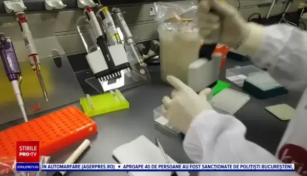 Noua tulpină Omicron se răspândește rapid în toată lumea. În Europa, Olanda înregistrează cele mai multe cazuri