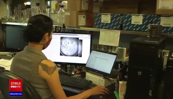 Experții cred că mutațiile tulpinii Omicron au apărut la un pacient infectat cu HIV