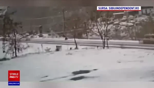 Vreme severă în nouă județe din țară. La noapte va fi cod portocaliu de ninsoare, viscol și vânt