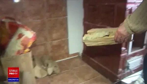 România trebuie să înceapă să renunțe, în următorii doi ani, la încălzirea pe lemne