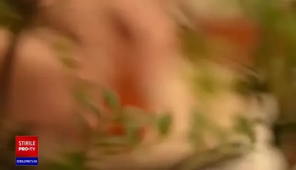 Răzvan Crișan, creierul din spatele mai multor cafenele, grădini de vară și restaurante din Capitală. Cum și-a pus amprenta