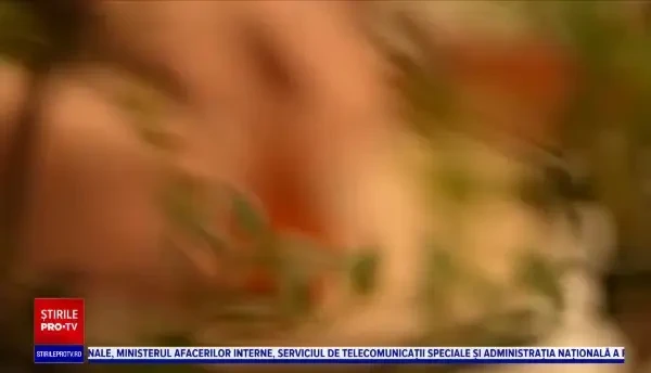 Răzvan Crișan, creierul din spatele mai multor cafenele, grădini de vară și restaurante din Capitală. Cum și-a pus amprenta