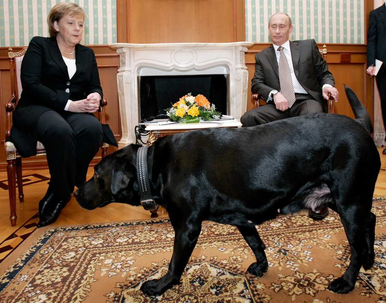 Merkel caine Putin
