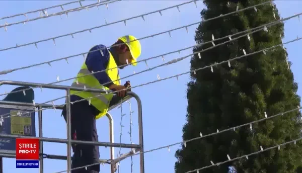 Bradul, vedeta incontestabilă a târgurilor de Crăciun, stârnește nemulțumiri în unele orașe