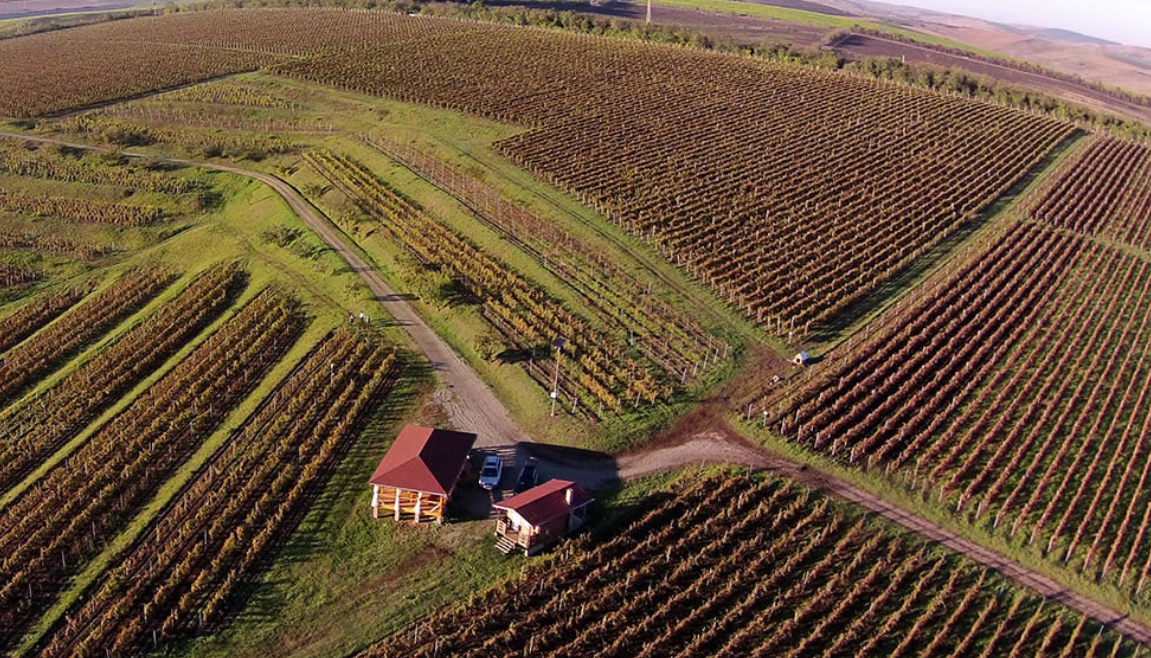 Wine Trips România. Crama La Salina, un paradis românesc aflat lângă Salina Turda