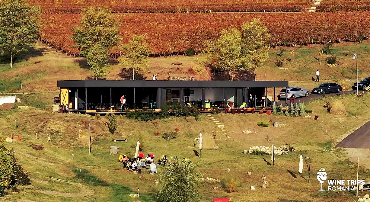 Wine Trips România. Velvet Winery, leagănul vinului din Dealu Mare, din care nu ai mai vrea să pleci