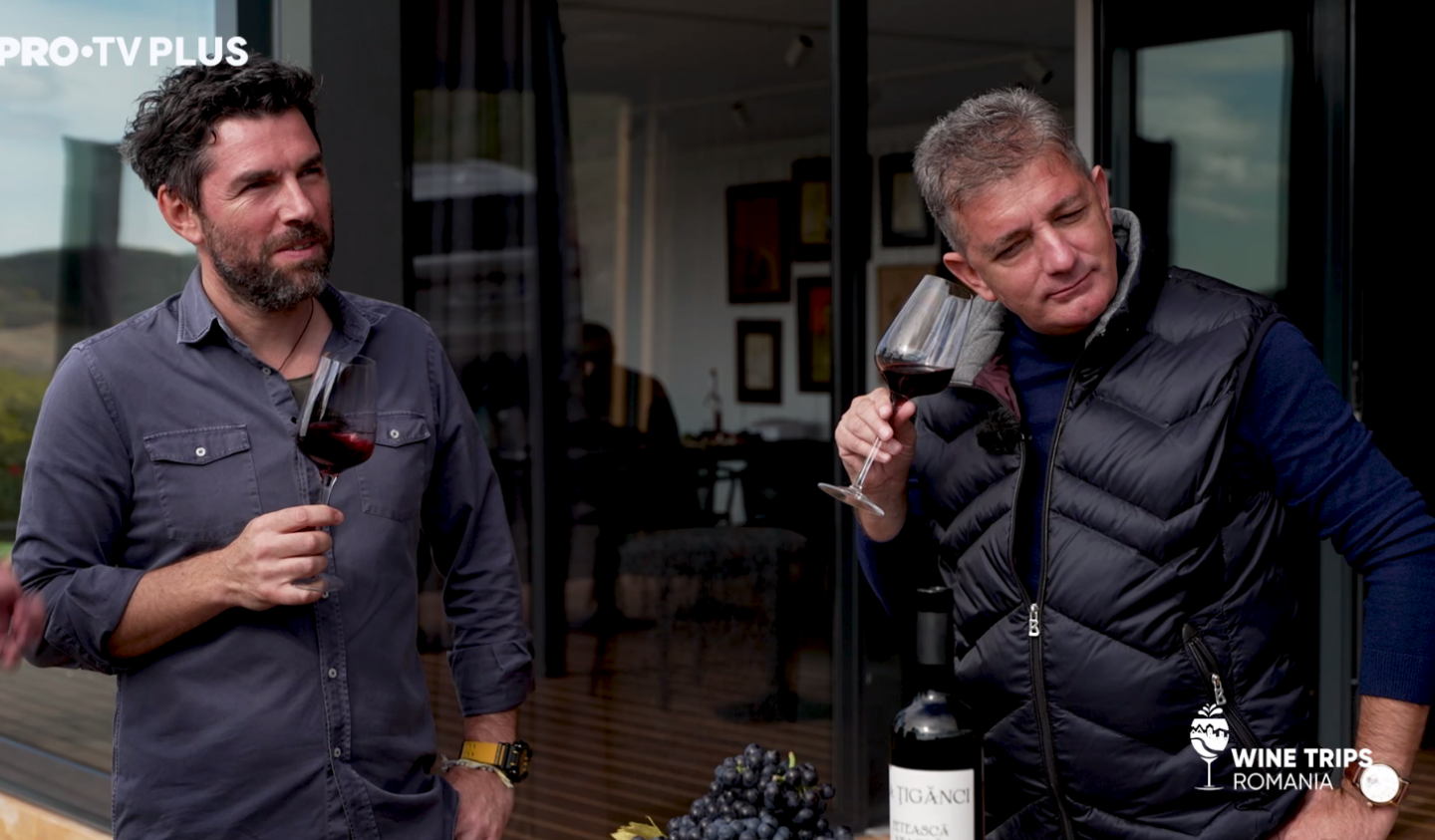 Wine Trips Rom&acirc;nia. Velvet Winery, leagănul vinului din Dealu Mare, din care nu ai mai vrea să pleci