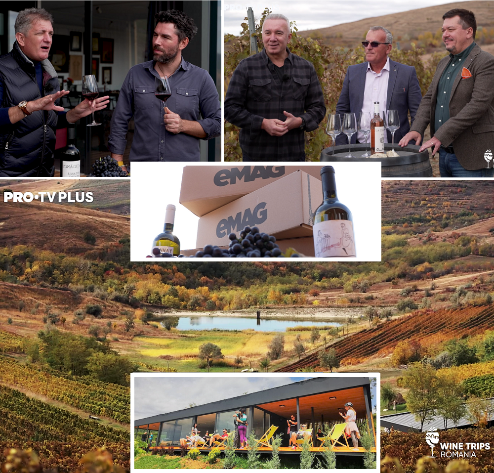 Wine Trips Rom&acirc;nia. Velvet Winery, leagănul vinului din Dealu Mare, din care nu ai mai vrea să pleci