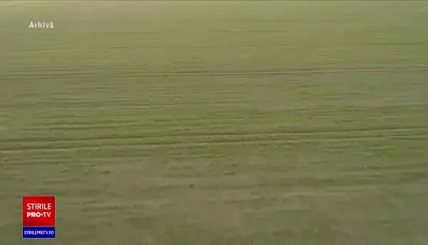 Anchetă în cazul omului de afaceri din Iași, acuzat că și-a atacat un angajat cu o armă albă